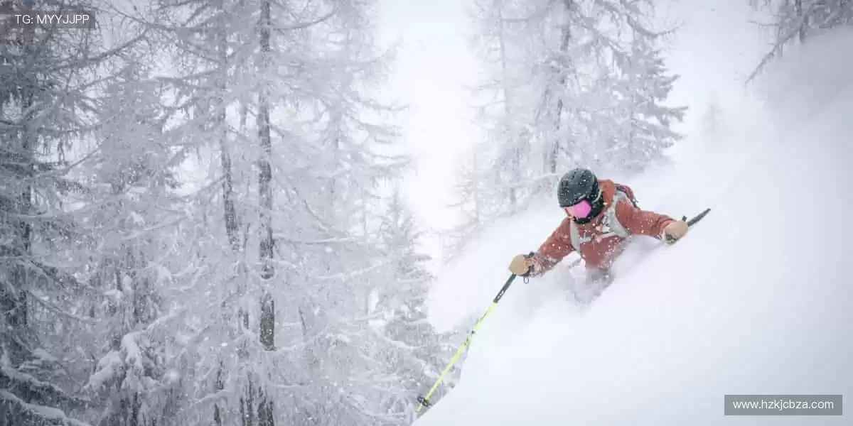 激情赛场，胜者为王！⚽️