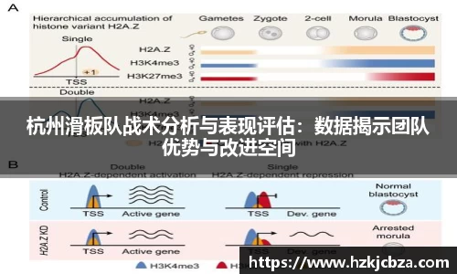 杭州滑板队战术分析与表现评估：数据揭示团队优势与改进空间